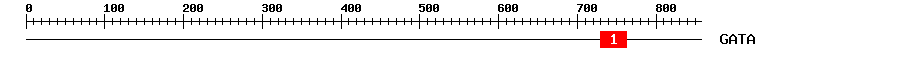 Signature Domain