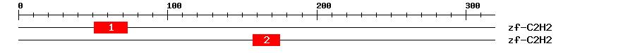 Signature Domain