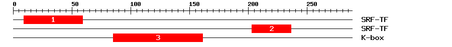 Signature Domain