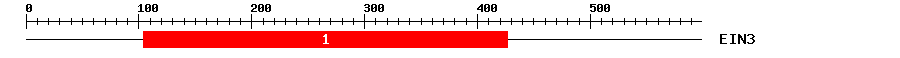 Signature Domain