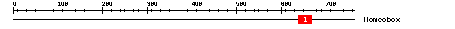 Signature Domain