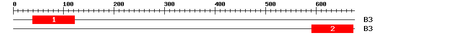Signature Domain