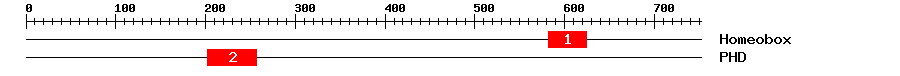 Signature Domain