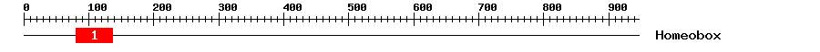 Signature Domain