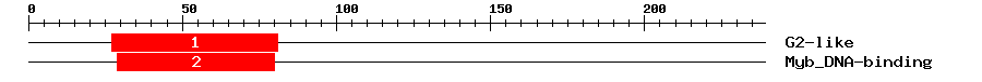Signature Domain