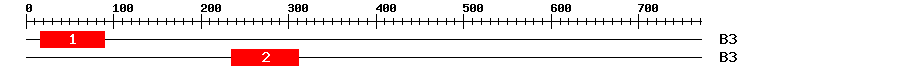Signature Domain