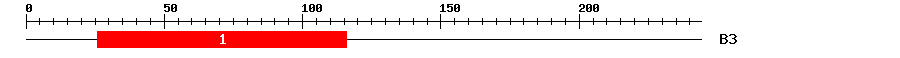 Signature Domain
