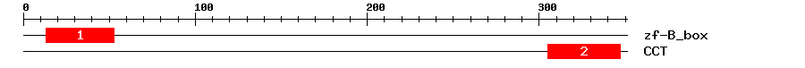 Signature Domain