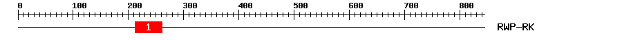 Signature Domain