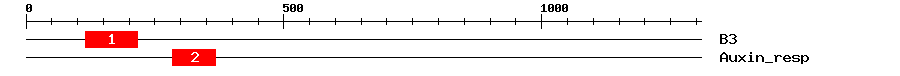 Signature Domain