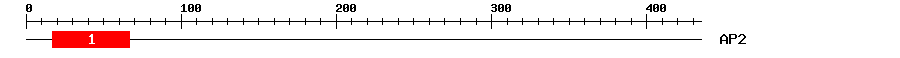 Signature Domain