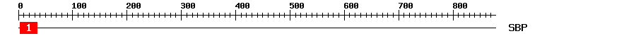 Signature Domain