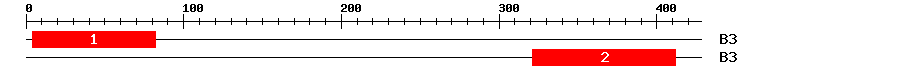 Signature Domain