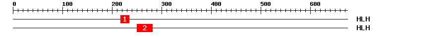 Signature Domain