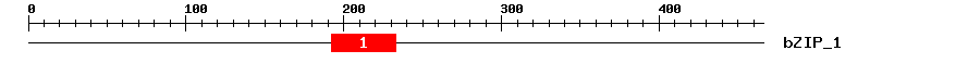 Signature Domain