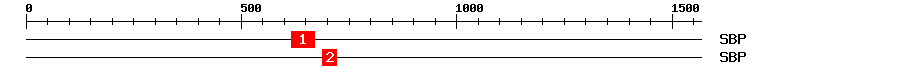 Signature Domain