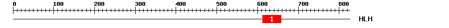 Signature Domain