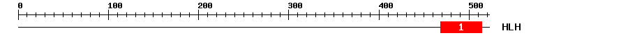 Signature Domain