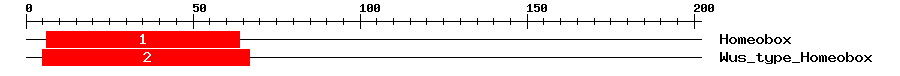 Signature Domain
