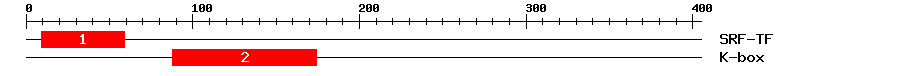 Signature Domain