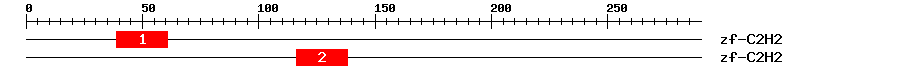 Signature Domain
