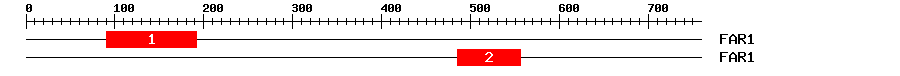 Signature Domain