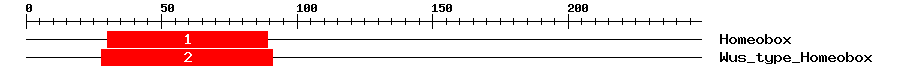 Signature Domain