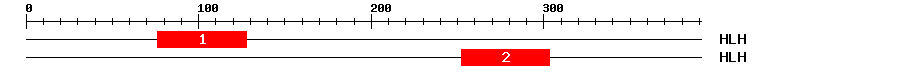 Signature Domain
