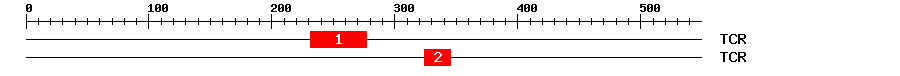 Signature Domain