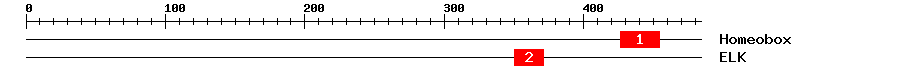 Signature Domain