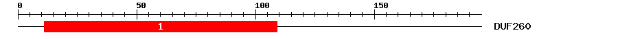 Signature Domain