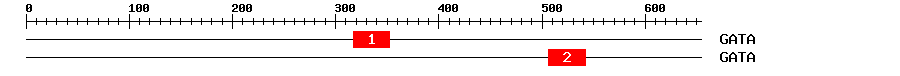 Signature Domain