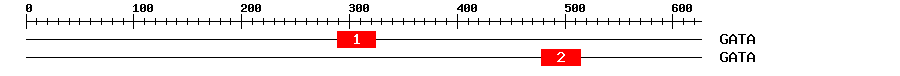 Signature Domain