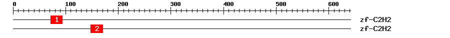 Signature Domain