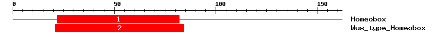 Signature Domain