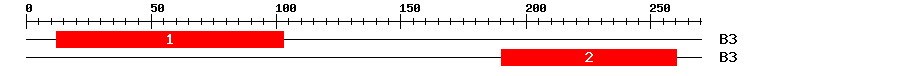 Signature Domain