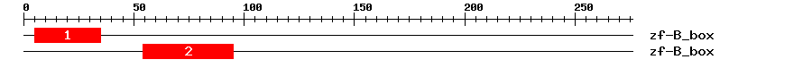 Signature Domain
