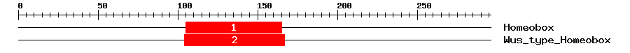 Signature Domain
