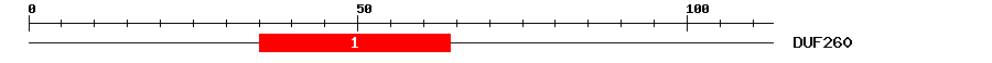 Signature Domain