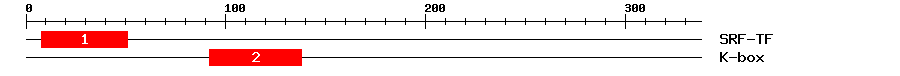 Signature Domain