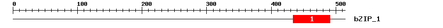 Signature Domain