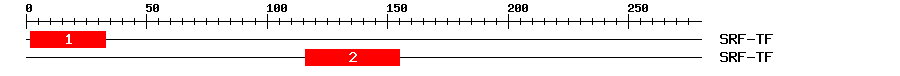 Signature Domain