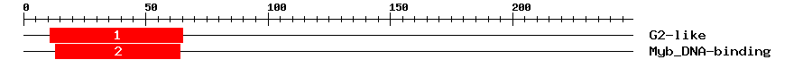 Signature Domain
