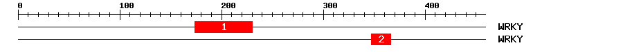 Signature Domain