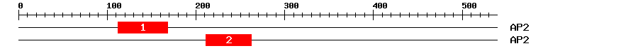 Signature Domain