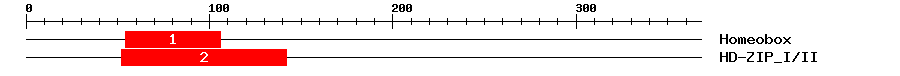 Signature Domain