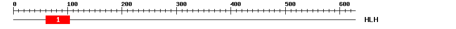 Signature Domain