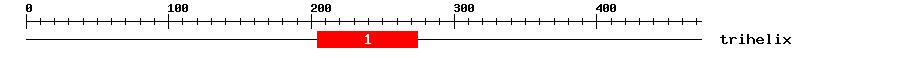 Signature Domain