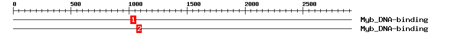 Signature Domain