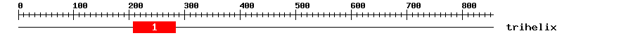Signature Domain
